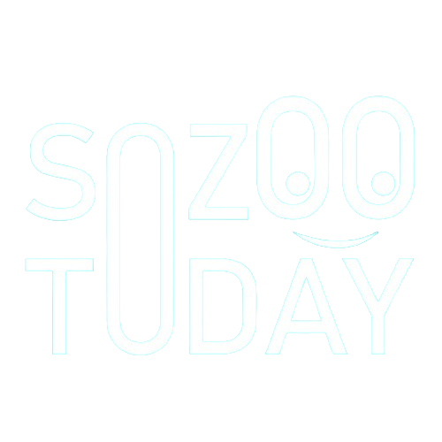 Sozoo Logo